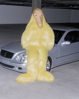 Yellow Fur Costume